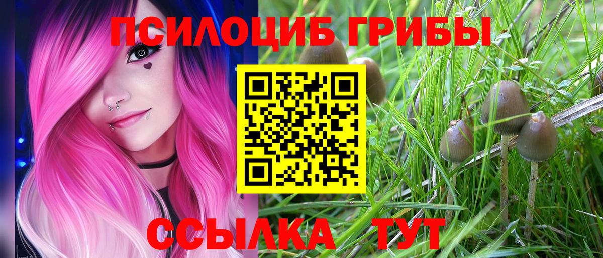 Псилоцибиновые грибы MAGIC MUSHROOMS Унеча