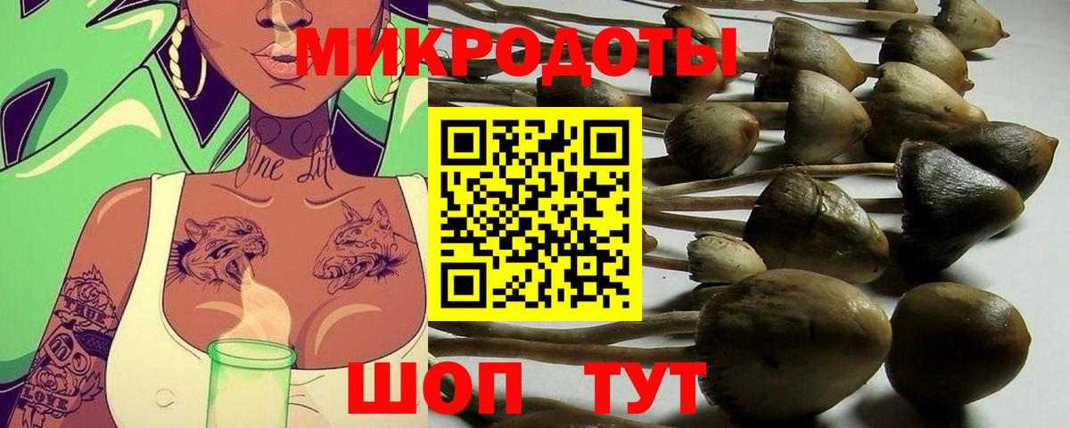 Унеча  Псилоцибиновые грибы ЛСД  Галлюциногенные грибы Psilocybine cubensis  Вход с VPN 